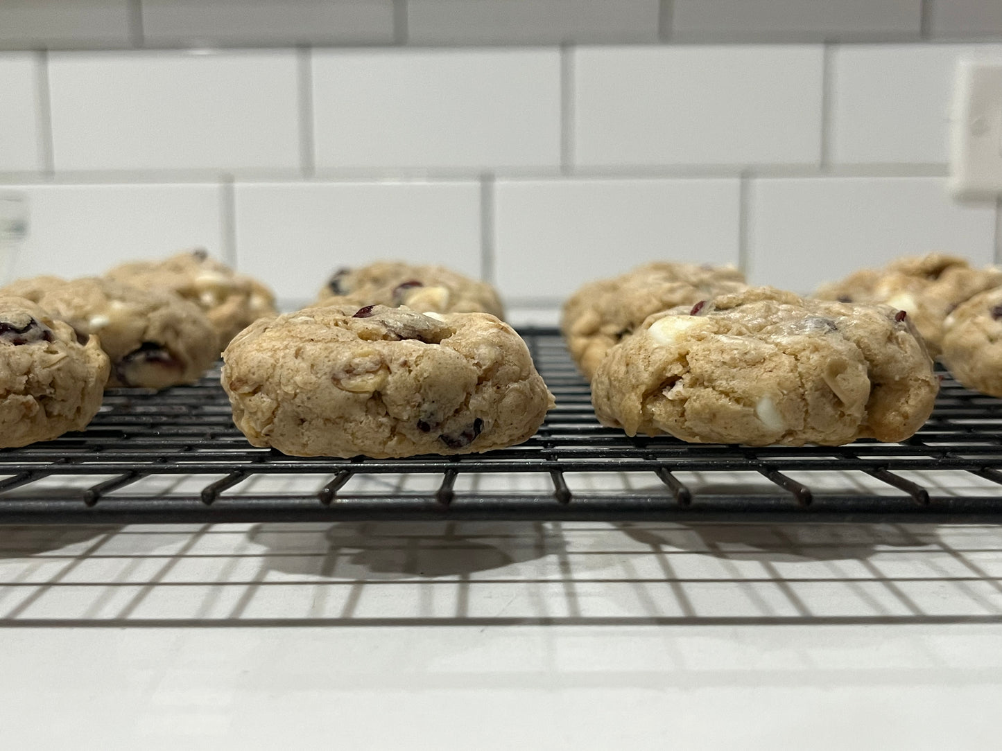 Oatmeal Cranberry White Chocolate Chip Cookie